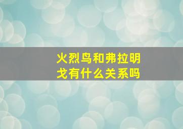 火烈鸟和弗拉明戈有什么关系吗