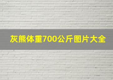 灰熊体重700公斤图片大全