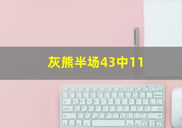 灰熊半场43中11