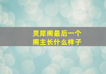 灵犀阁最后一个阁主长什么样子