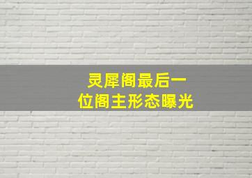 灵犀阁最后一位阁主形态曝光