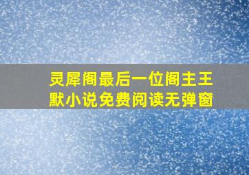 灵犀阁最后一位阁主王默小说免费阅读无弹窗