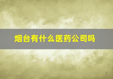 烟台有什么医药公司吗