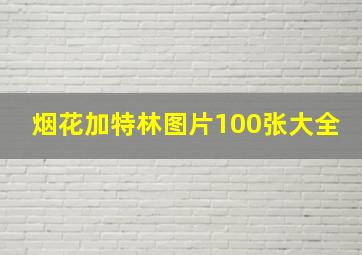 烟花加特林图片100张大全