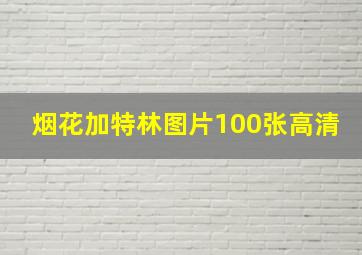 烟花加特林图片100张高清