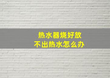 热水器烧好放不出热水怎么办