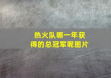 热火队哪一年获得的总冠军呢图片