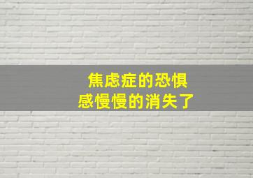 焦虑症的恐惧感慢慢的消失了