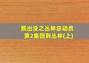 熊出没之丛林总动员第2集回到丛林(上)