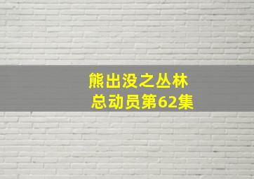 熊出没之丛林总动员第62集