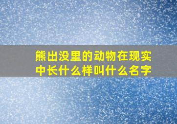 熊出没里的动物在现实中长什么样叫什么名字