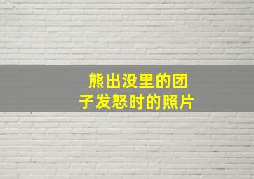 熊出没里的团子发怒时的照片