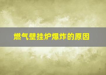 燃气壁挂炉爆炸的原因