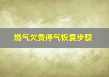 燃气欠费停气恢复步骤