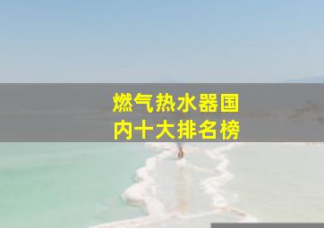 燃气热水器国内十大排名榜