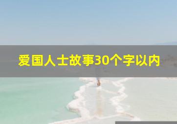 爱国人士故事30个字以内