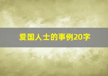 爱国人士的事例20字