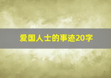 爱国人士的事迹20字