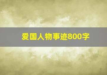 爱国人物事迹800字