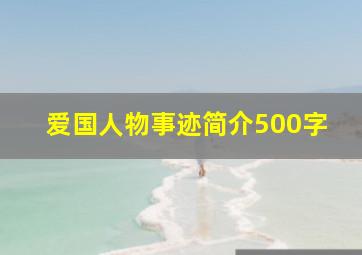 爱国人物事迹简介500字