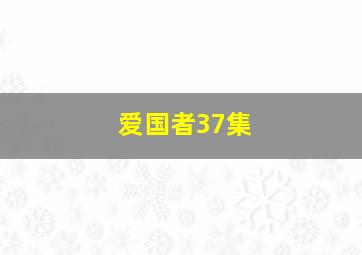 爱国者37集