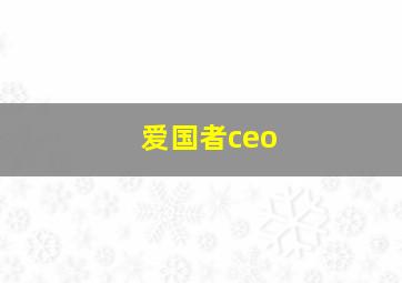 爱国者ceo