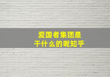 爱国者集团是干什么的呢知乎