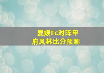 爱媛Fc对阵甲府风林比分预测