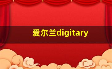 爱尔兰digitary