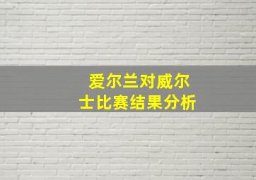 爱尔兰对威尔士比赛结果分析