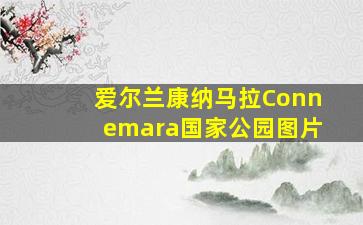 爱尔兰康纳马拉Connemara国家公园图片