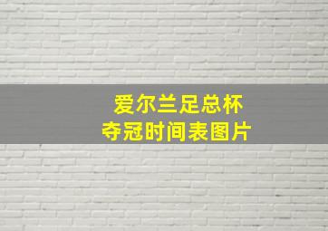 爱尔兰足总杯夺冠时间表图片