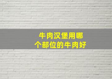 牛肉汉堡用哪个部位的牛肉好