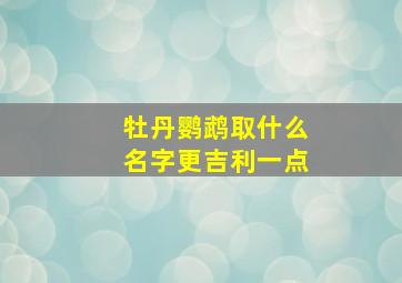 牡丹鹦鹉取什么名字更吉利一点