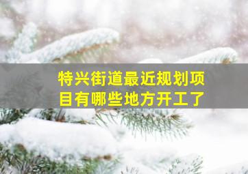 特兴街道最近规划项目有哪些地方开工了