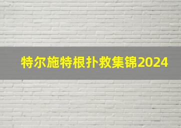 特尔施特根扑救集锦2024