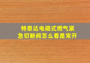 特恩达电磁式燃气紧急切断阀怎么看是常开