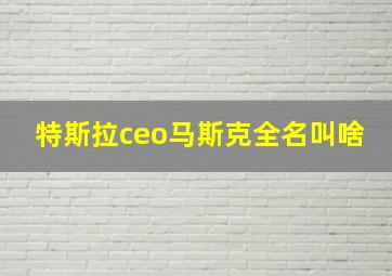 特斯拉ceo马斯克全名叫啥