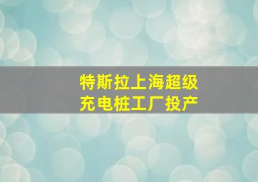 特斯拉上海超级充电桩工厂投产