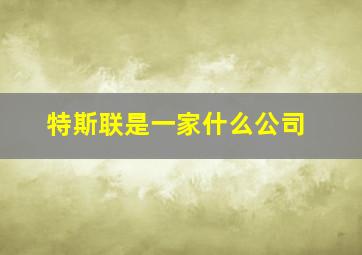 特斯联是一家什么公司