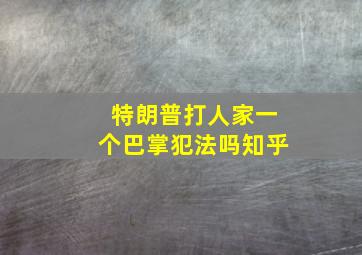 特朗普打人家一个巴掌犯法吗知乎