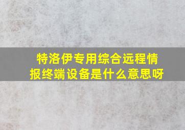 特洛伊专用综合远程情报终端设备是什么意思呀