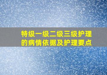 特级一级二级三级护理的病情依据及护理要点