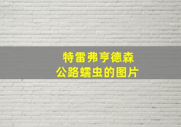 特雷弗亨德森公路蠕虫的图片