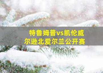 特鲁姆普vs凯伦威尔逊北爱尔兰公开赛