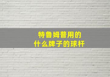 特鲁姆普用的什么牌子的球杆