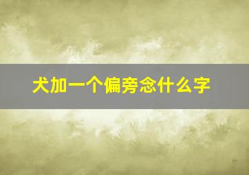 犬加一个偏旁念什么字