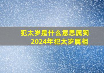 犯太岁是什么意思属狗2024年犯太岁属相