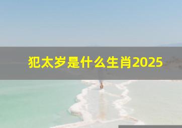 犯太岁是什么生肖2025