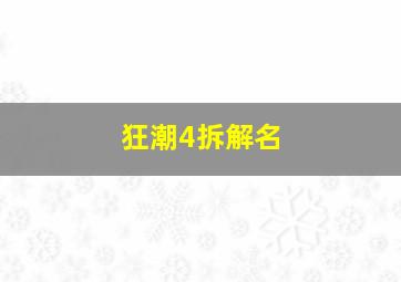 狂潮4拆解名